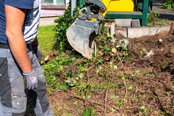 Hedge Removal Service in Metairie