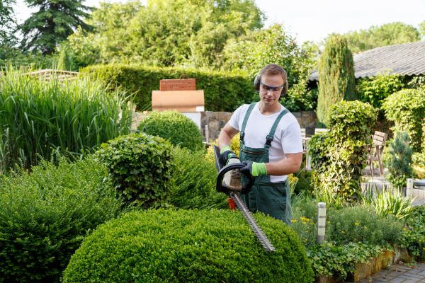 Shrubs Trimming in Metairie