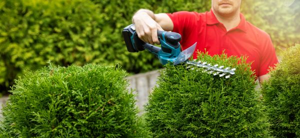 Cost of Hedge Shaping Service in Metairie